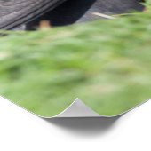 Atlantic Puffin (Fratercula Arctica) op Cliff Poster (Hoek)