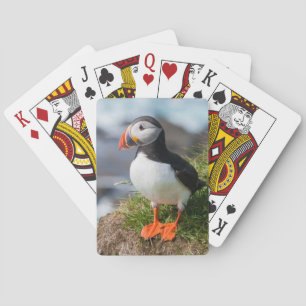 Atlantic Puffin Fratercula Arctica Pokerkaarten