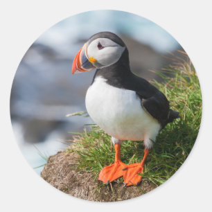 Atlantic Puffin Fratercula Arctica Ronde Sticker