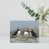 Atlantic Puffin Group Briefkaart (Staand voorkant)