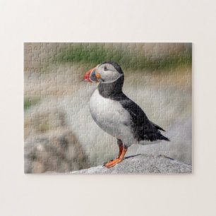 Atlantic Puffin in Machias Legpuzzel