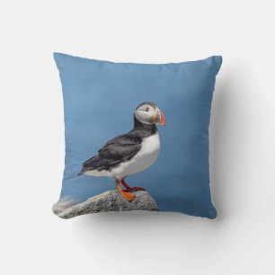 Atlantic Puffin in Machias, Maine Kussen