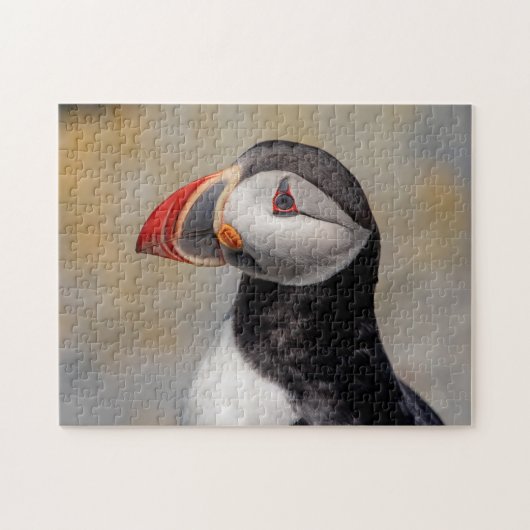 Atlantic Puffin in Machias, Maine Legpuzzel (Horizontaal)