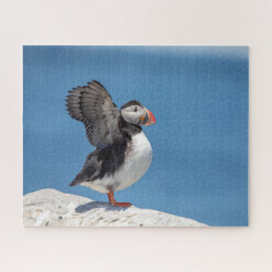 Atlantic Puffin in Machias, ME Legpuzzel