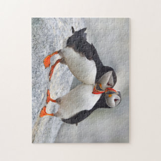 Atlantic Puffin Love Legpuzzel