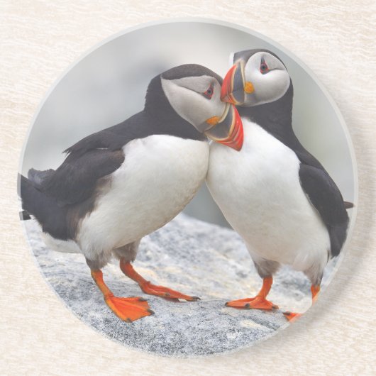 Atlantic Puffin Love Zandsteen Onderzetter (Voorkant)
