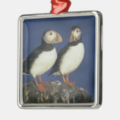 Atlantic Puffin Metalen Ornament (Links)