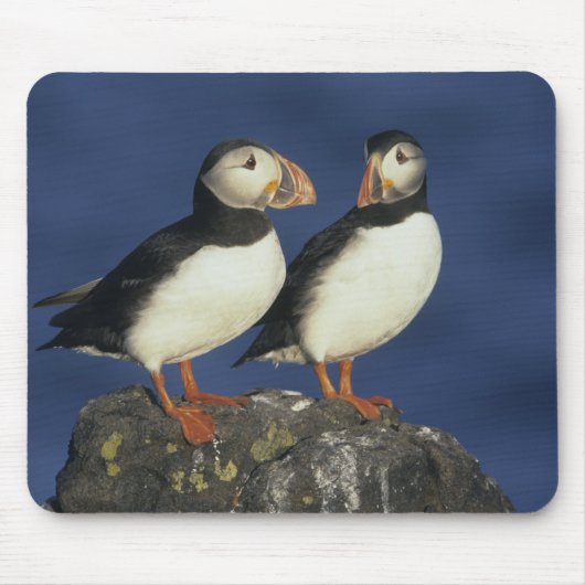 Atlantic Puffin Muismat (Voorkant)