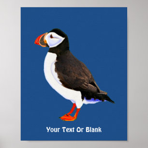 Atlantic Puffin Poster