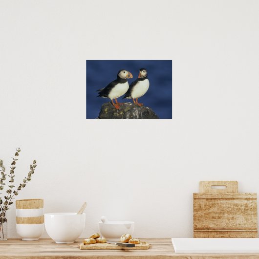 Atlantic Puffin Poster (Keuken)