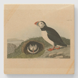 Atlantic Puffin uit Audubon's Birds of America Stenen Onderzetter