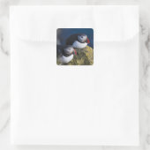 Atlantic Puffin Vierkante Sticker (Tas)