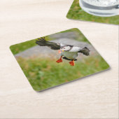 Atlantic Puffin-vogel vliegend onderzetter (Schuin)