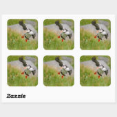Atlantic Puffin vogel vliegende sticker (Vel)