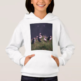 Atlantic Puffins