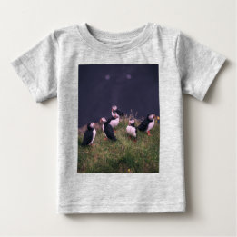 Atlantic Puffins
