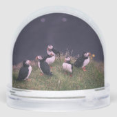 Atlantic Puffins (Arrière)