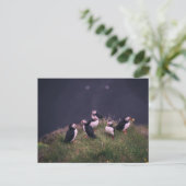 Atlantic Puffins Briefkaart (Staand voorkant)