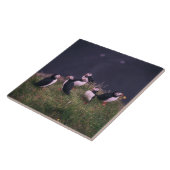 Atlantic Puffins Ceramic Tegel Tegeltje (Zijkant)