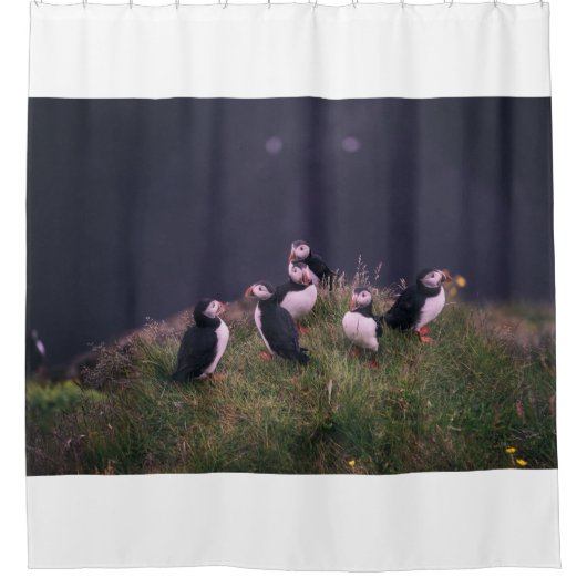Atlantic Puffins Douchegordijn (Voorkant)