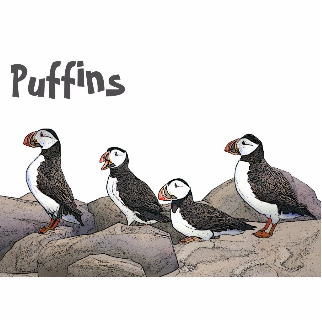 Atlantic Puffins Fotobeeldje Magneet (Voorkant)