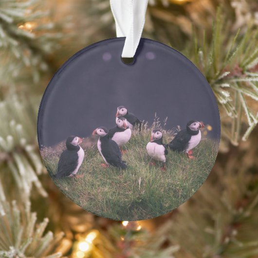 Atlantic Puffins Ornament (Boom)