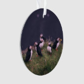 Atlantic Puffins Ornament (voorkant)