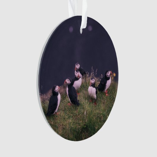 Atlantic Puffins Ornament (voorkant)
