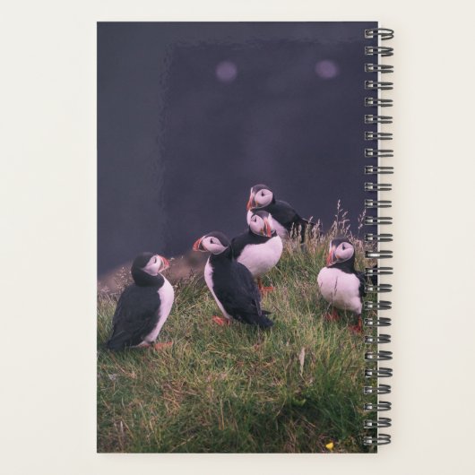 Atlantic Puffins Planner (Achterkant)