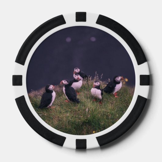 Atlantic Puffins Poker Chips (Voorkant)