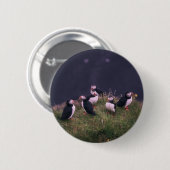 Atlantic Puffins Ronde Button 5,7 Cm (Voorkant /achterkant)