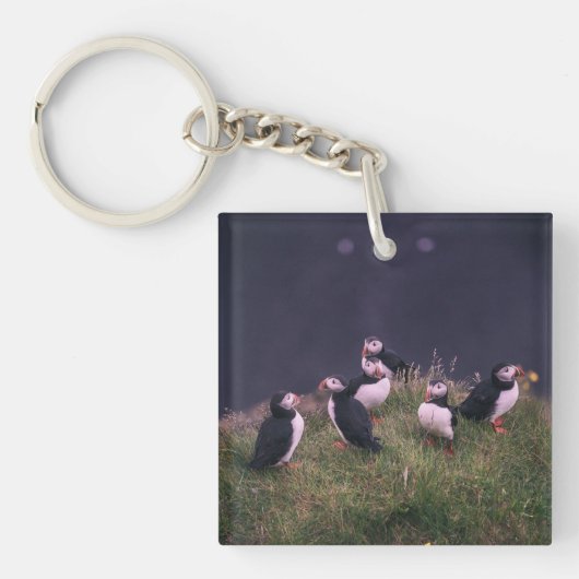 Atlantic Puffins Sleutelhanger (Voorkant)