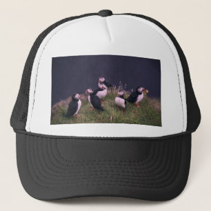 Atlantic Puffins Trucker Pet
