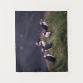 Atlantic Puffins Wandkleed (Voorkant)