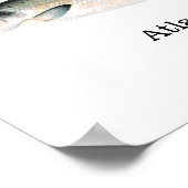 Atlantic Salmon Fish Poster (Hoek)