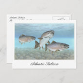 Atlantic Salmon Painting Briefkaart (Voorkant / Achterkant)