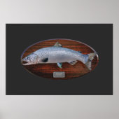 Atlantic Salmon Trophy Display Plaque Poster (Voorkant)