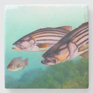 Atlantic Striped Bass-stip Stenen Onderzetter