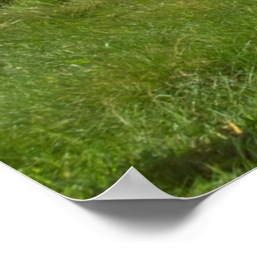 Atlantic virgin rock uitzicht poster (Hoek)