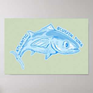 Atlantische blauwvintonijn poster