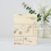 Atlantische eilanden briefkaart (Staand voorkant)