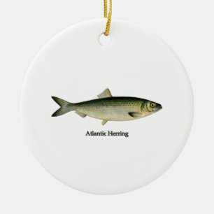 Atlantische haring keramisch ornament