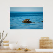 Atlantische havenrob poster (Keuken)