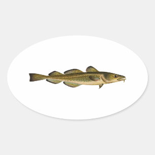 Atlantische kabeljauw ovale sticker