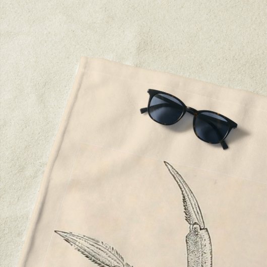 atlantische krab strandlaken (In situ)