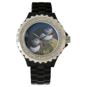 Atlantische Papegaaiduiker (Fratercula arctica) 7 Horloge