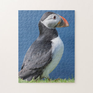 Atlantische Papegaaiduiker (Fratercula Arctica) Op Legpuzzel
