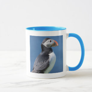 Atlantische Papegaaiduiker (Fratercula Arctica) Op Mok