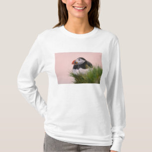 Atlantische papegaaiduiker (Fratercula arctica) T-shirt