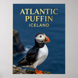 🐧 Atlantische Papegaaiduiker IJslandse Kustvogel Poster